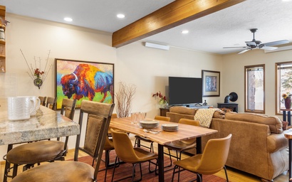 Teton Shadows Shoshone D 9