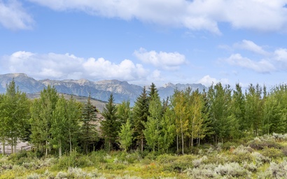 Harvest Dance 3193 40