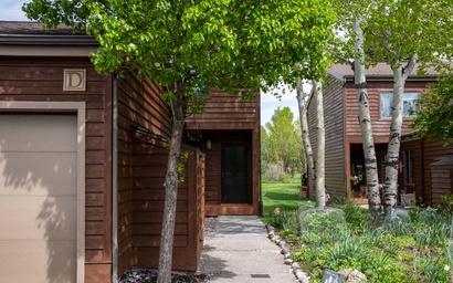 Teton Shadows Shoshone D 24