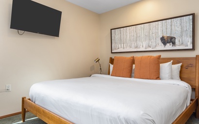 Teton Shadows Shoshone D 25