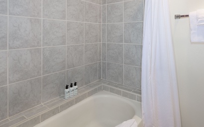 Thimbleberry 3212 12