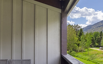 Mountain Alder 823 13