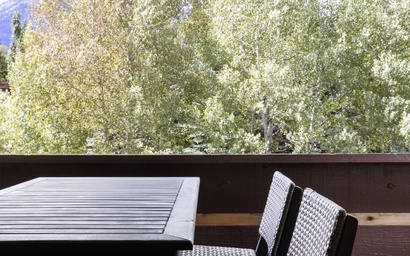 Mountain Alder 823 11