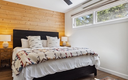 Indian Paintbrush 1112 24