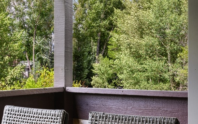 Mountain Alder 823 12