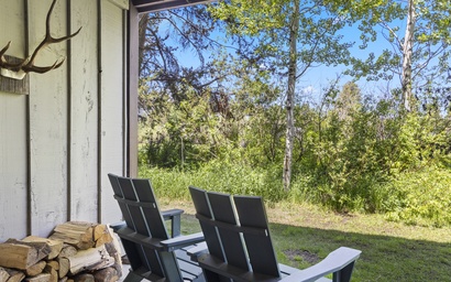 Indian Paintbrush 1112 15