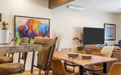 Teton Shadows Shoshone D 10