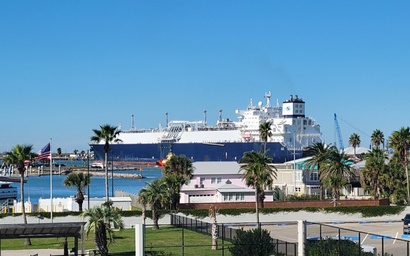 Bay Tree A2