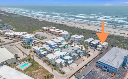 Dolphin Paradise BB928 2