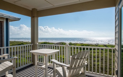 Dolphin Paradise BB928