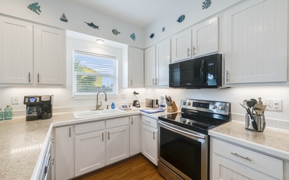 Salty Dolphin TS325 3