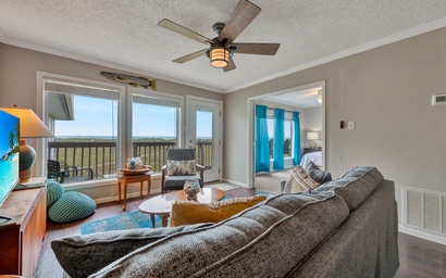 Serene Seashell BH508