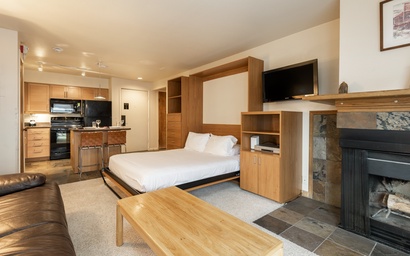 Snow Flower 066-Studio 3