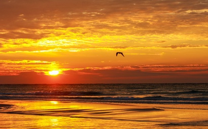 Regency Towers 405 West 6