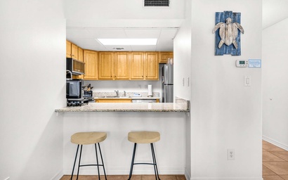 Sand Dollar E-101 10