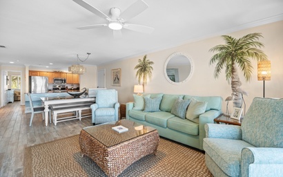 Needle Rush Point B21 5