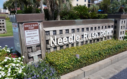 Needle Rush Point