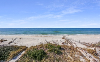 A Rendezvous, No Pets Allowed 3