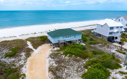 Turtle's Nest