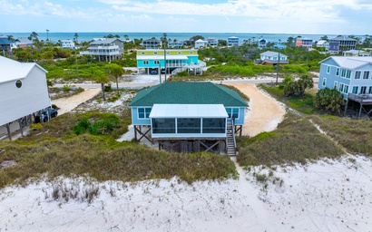 Turtle's Nest 10