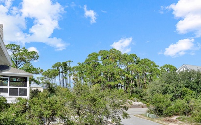 Tupelo Honey 4