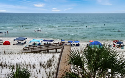 Barrier Dunes 156 - 11 Sand Dollar Dreams 5