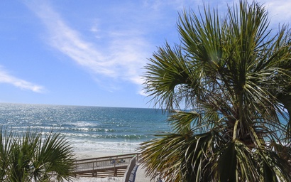 Barrier Dunes 156 - 11 Sand Dollar Dreams 6