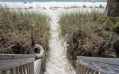 Turtle's Nest 3