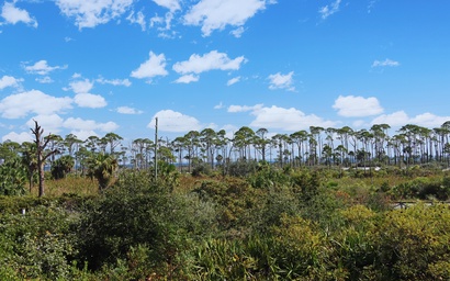 Barrier Dunes 164 - 144 Bay Breeze 5