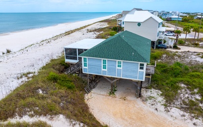 Turtle's Nest 6
