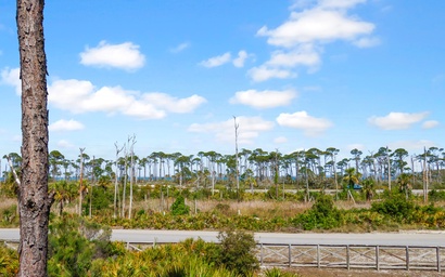 Barrier Dunes 130 - 152 Millie's Dream 3