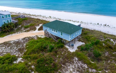 Turtle's Nest 7