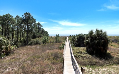Club at Cape San Blas 1D 2