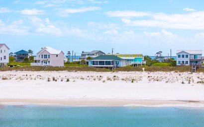 Turtle's Nest 4