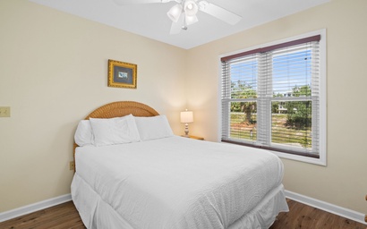 The Turtle's Nest 10