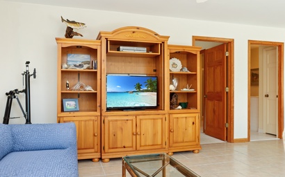 Papa's Palmetto Place 10