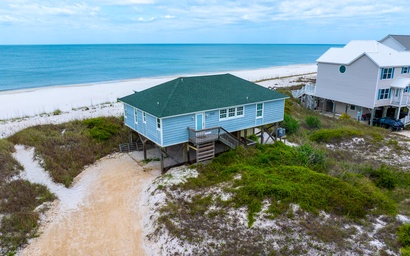 Turtle's Nest 5