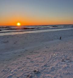 Antilles Beach Cottage 7