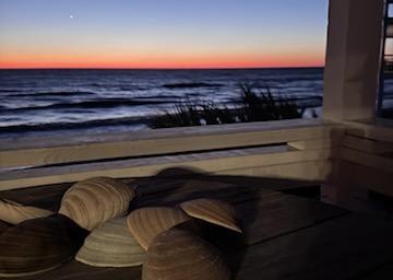 Antilles Beach Cottage 6