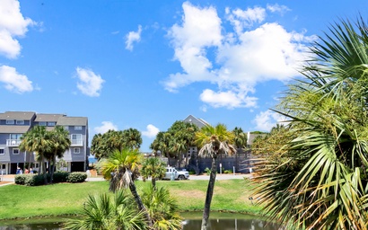Barrier Dunes 451 - 40 Lime Breeze 2