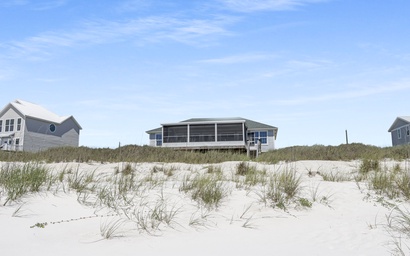Turtle's Nest