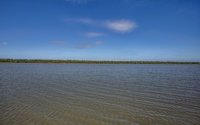 Camp Palms @ Indian Pass 3