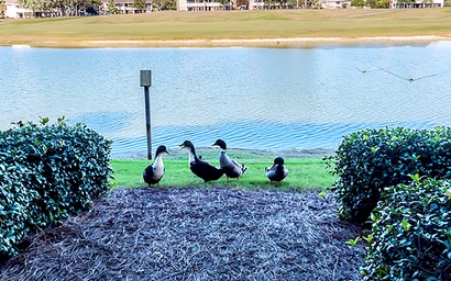 Seascape Lakefront Villas 281- Family Tides 7