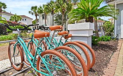 Peachy Palm 5