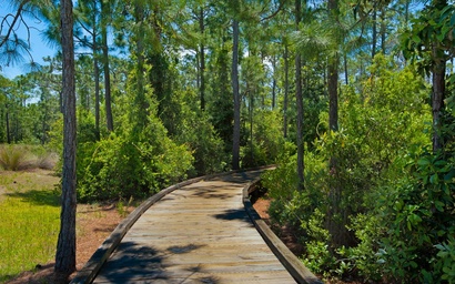 Bluegrass by the Sea 6