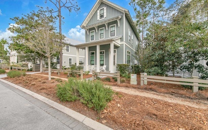 Sandpiper in Watercolor 4