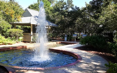 Hidden Dunes Beach Cottage 208- Dune Our Thing 5