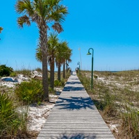 Dolphin Point #501A 5