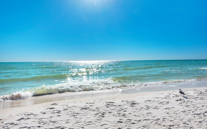 Shores of Panama 1523 3