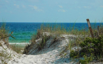 Town of Prominence 326B- Seaside Paradise 5